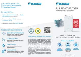 flyer_ap.pdf
