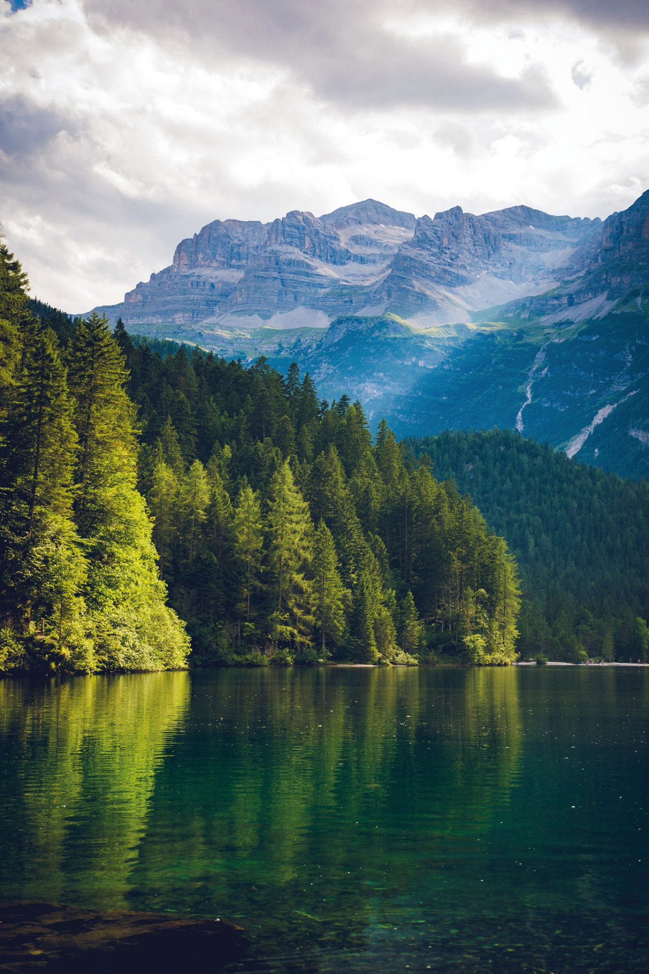 Paesaggio con fiume, alberi e montagne